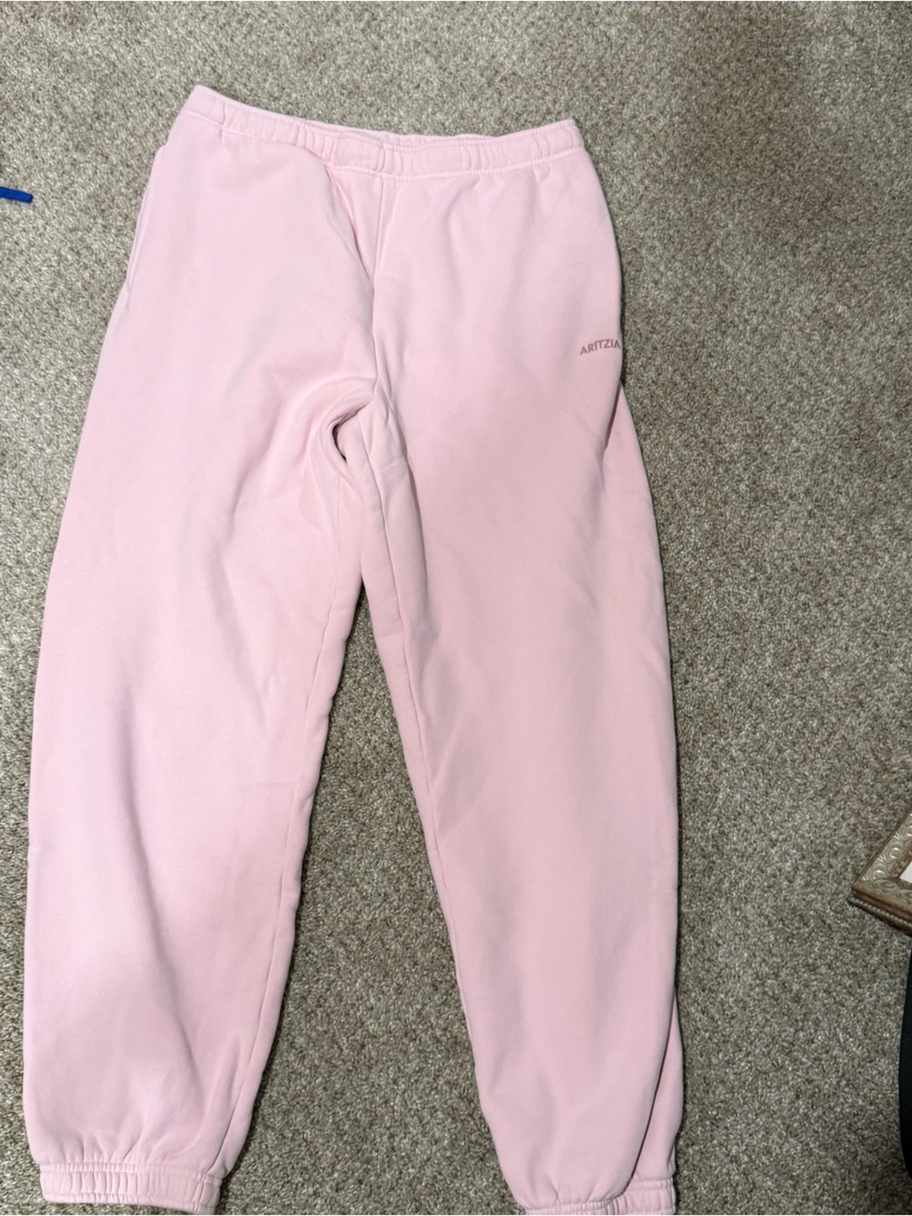 Aritzia Sweatfleece Mega Joggers TALL
